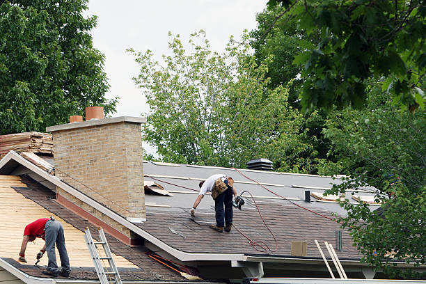 Best Asphalt Shingle Roofing  in Dade City North, FL